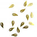 Nail-Art Blätter, gold